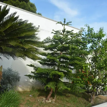 Depan Dance غالّيبولي