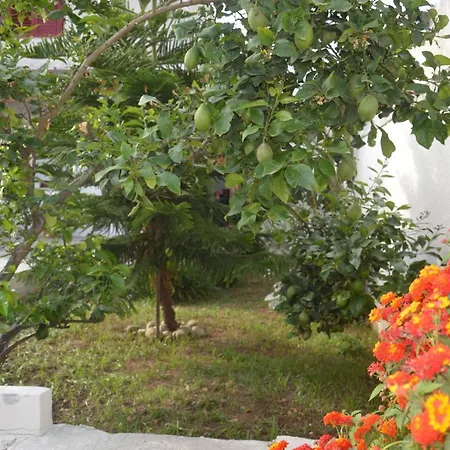 Guest house Depan Dance